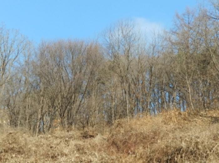 충청남도 금산군 제원면 길곡리 272-1 전 경매 사진 33