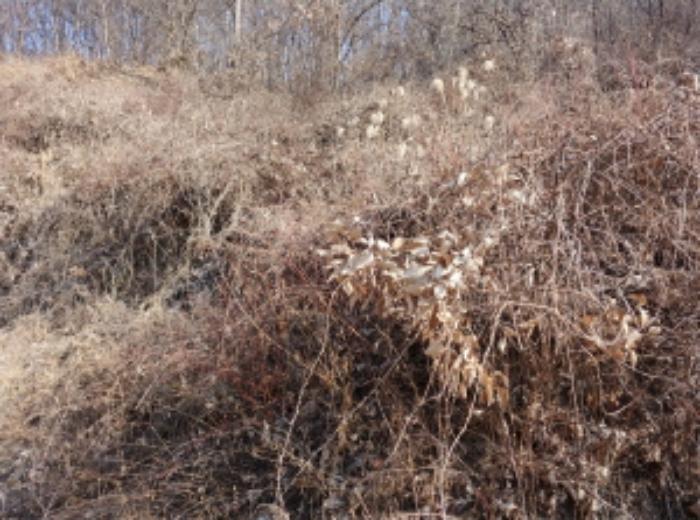충청남도 금산군 제원면 길곡리 272-1 전 경매 사진 35