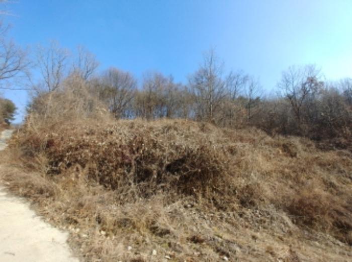 충청남도 금산군 제원면 길곡리 272-1 전 경매 사진 36