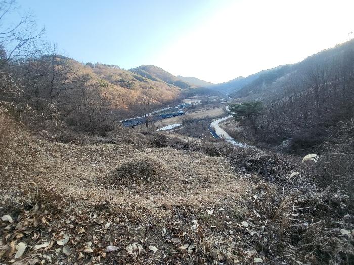 충청남도 금산군 제원면 길곡리 272-1 전 경매 사진 4