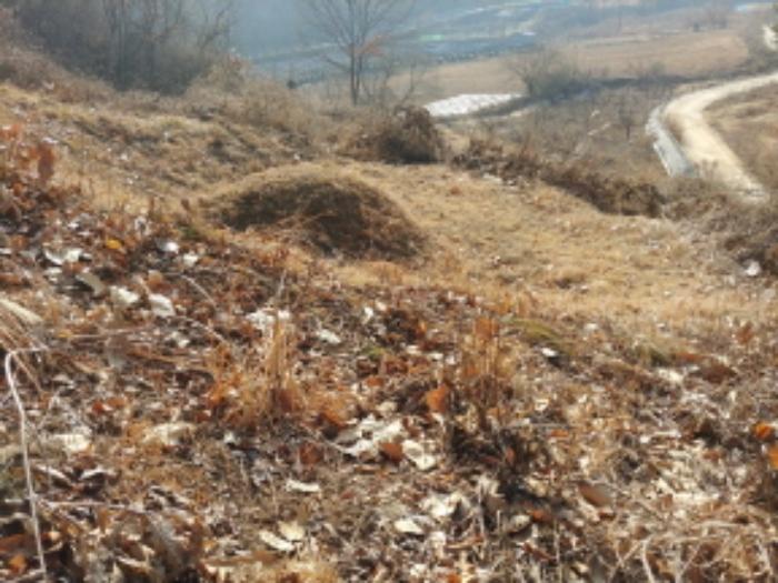 충청남도 금산군 제원면 길곡리 272-1 전 경매 사진 41