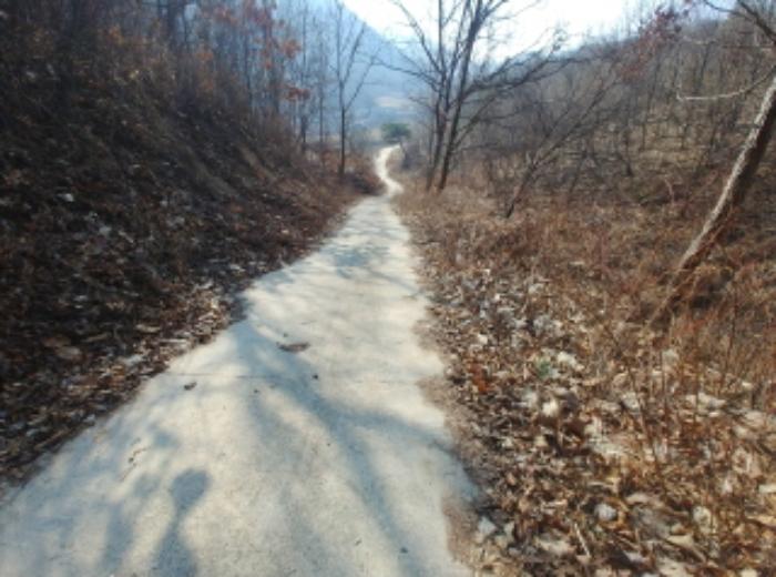 충청남도 금산군 제원면 길곡리 272-1 전 경매 사진 44