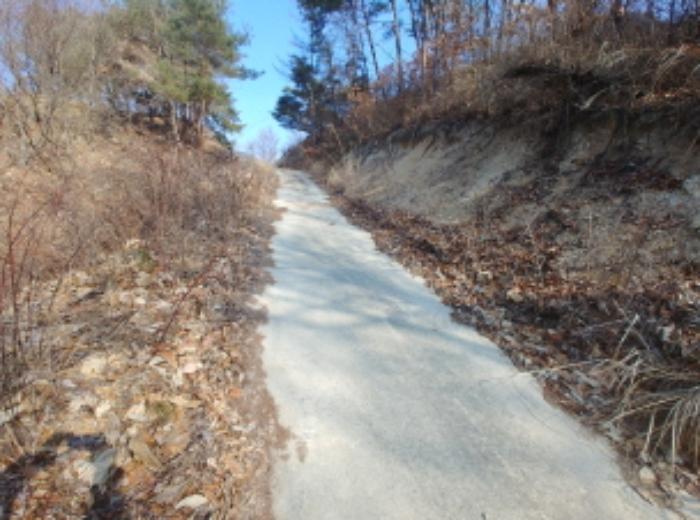 충청남도 금산군 제원면 길곡리 272-1 전 경매 사진 45