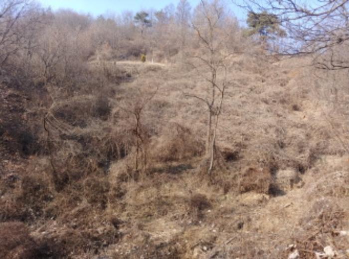 충청남도 금산군 제원면 길곡리 272-1 전 경매 사진 48