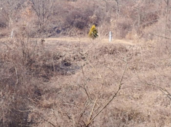 충청남도 금산군 제원면 길곡리 272-1 전 경매 사진 49