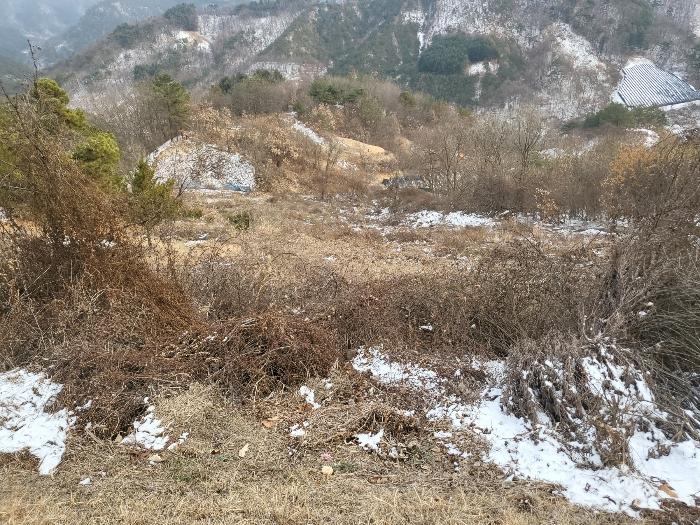 충청남도 금산군 제원면 길곡리 272-1 전 경매 사진 5