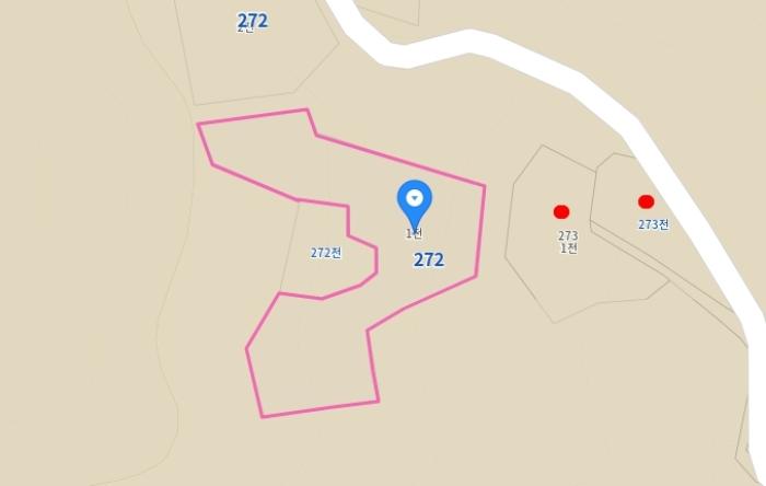 충청남도 금산군 제원면 길곡리 272-1 전 경매 사진 54