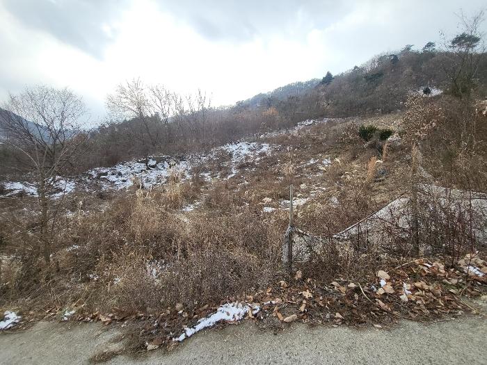 충청남도 금산군 제원면 길곡리 272-1 전 경매 사진 6