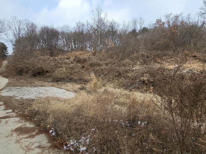 충청남도 금산군 제원면 길곡리 272-1 전 경매 사진 7