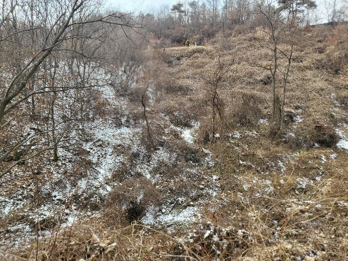 충청남도 금산군 제원면 길곡리 272-1 전 경매 사진 8