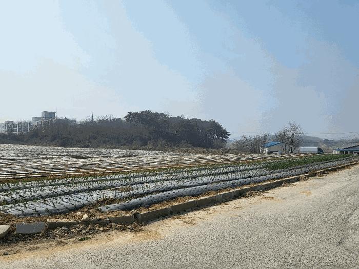 충청남도 당진시 송악읍 석포리 282-37 공장 경매 사진 12