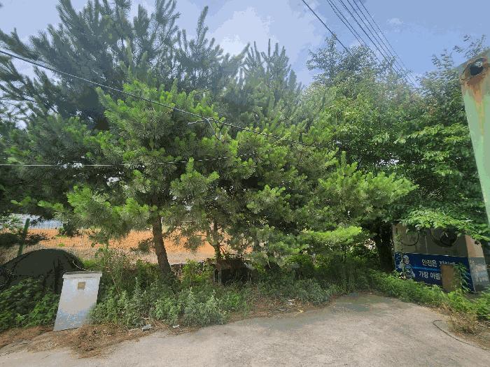 충청남도 당진시 송악읍 석포리 282-37 공장 경매 사진 18