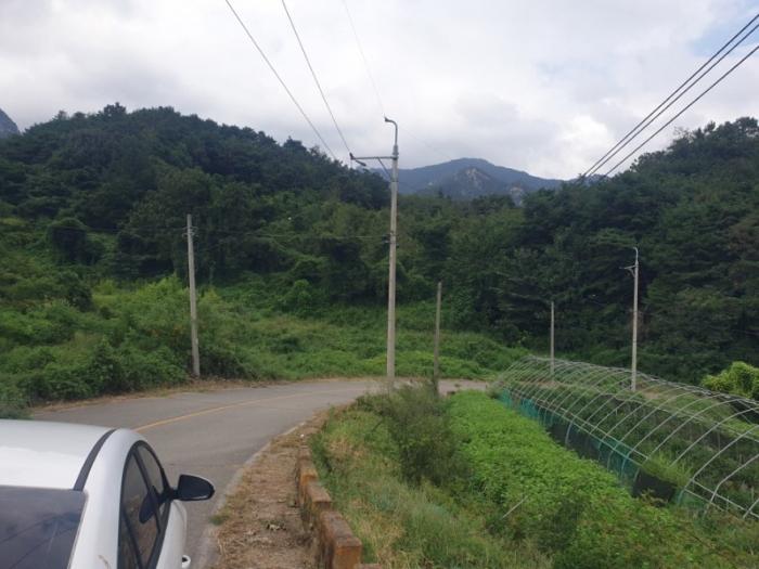 경상북도 성주군 수륜면 백운리 1663 전 경매 사진 2