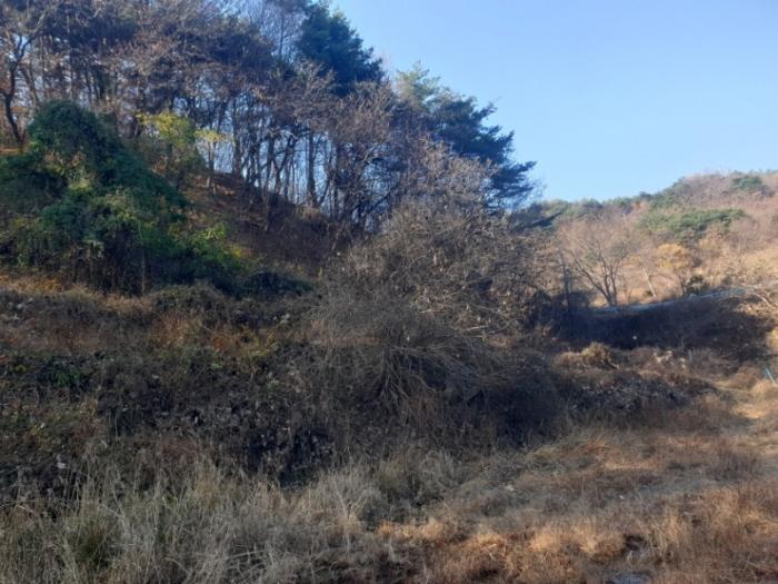 경상북도 성주군 수륜면 백운리 1663 전 경매 사진 5