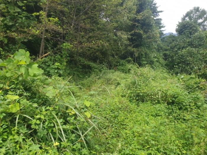 경상북도 성주군 수륜면 백운리 1663 전 경매 사진 7