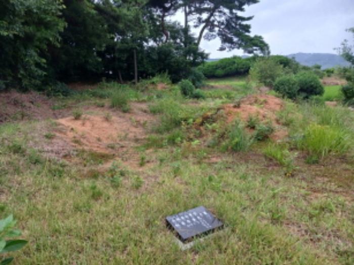 충청남도 서산시 음암면 도당리 산17 임야 경매 사진 7