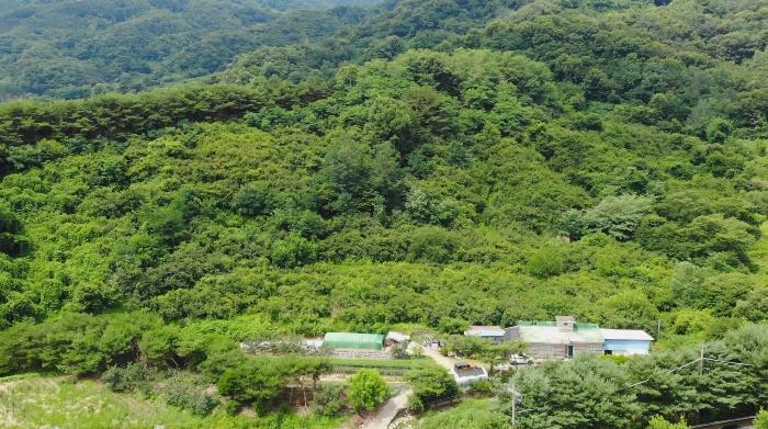 경상남도 창원시 의창구 북면 내곡리 산270 임야 경매 사진 1
