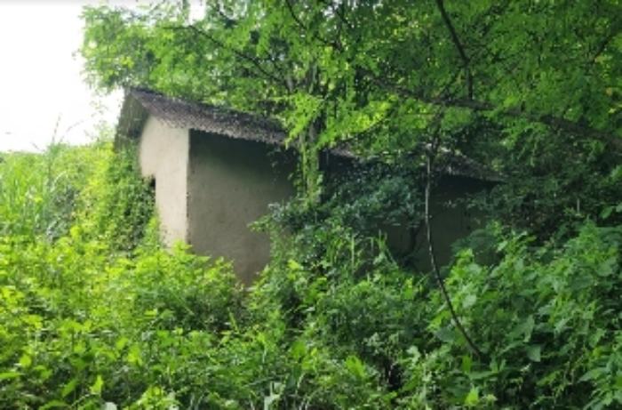 경상남도 창원시 의창구 북면 내곡리 산270 임야 경매 사진 10
