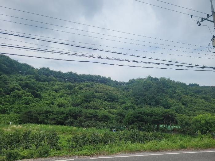 경상남도 창원시 의창구 북면 내곡리 산270 임야 경매 사진 4