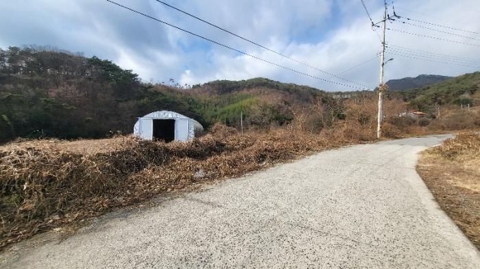 전라남도 담양군 용면 쌍태리 산137 임야 경매 사진 1