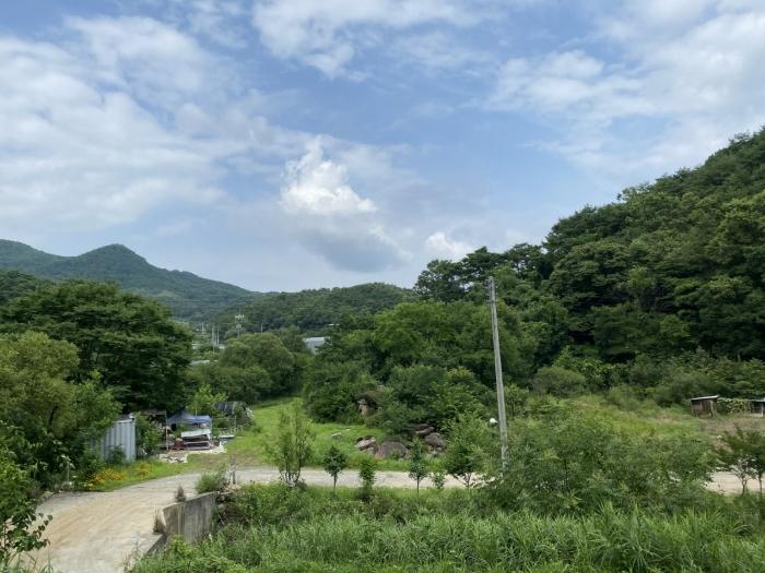 경상북도 성주군 월항면 지방리 319-1 전 경매 사진 12
