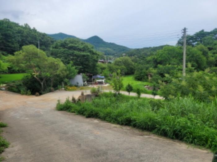 경상북도 성주군 월항면 지방리 319-1 전 경매 사진 13