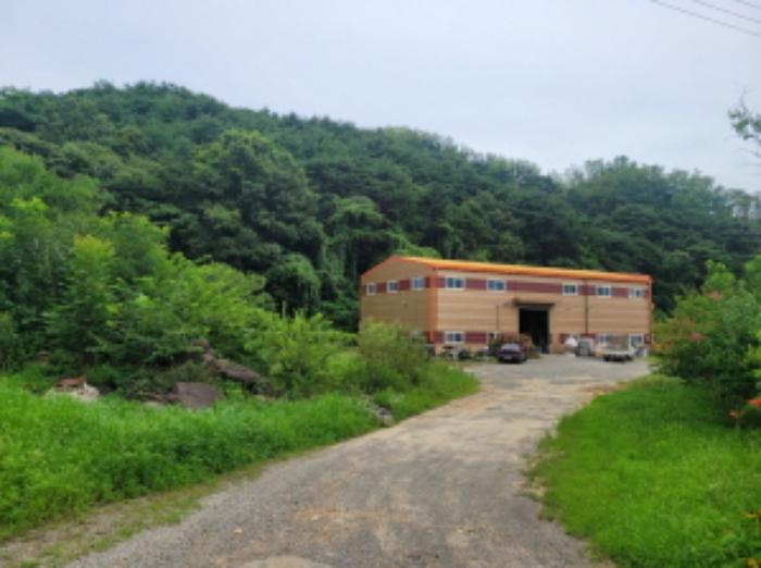 경상북도 성주군 월항면 지방리 319-1 전 경매 사진 15