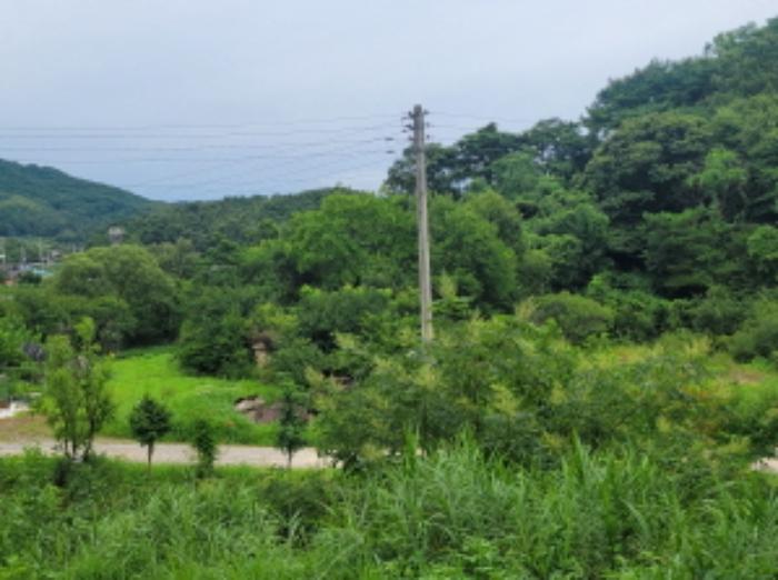 경상북도 성주군 월항면 지방리 319-1 전 경매 사진 17