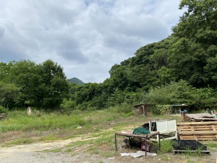 경상북도 성주군 월항면 지방리 319-1 전 경매 사진 3