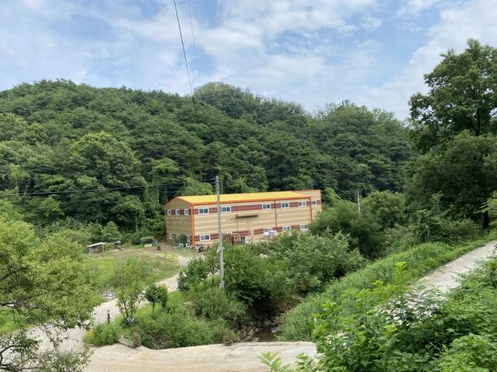 경상북도 성주군 월항면 지방리 319-1 전 경매 사진 6