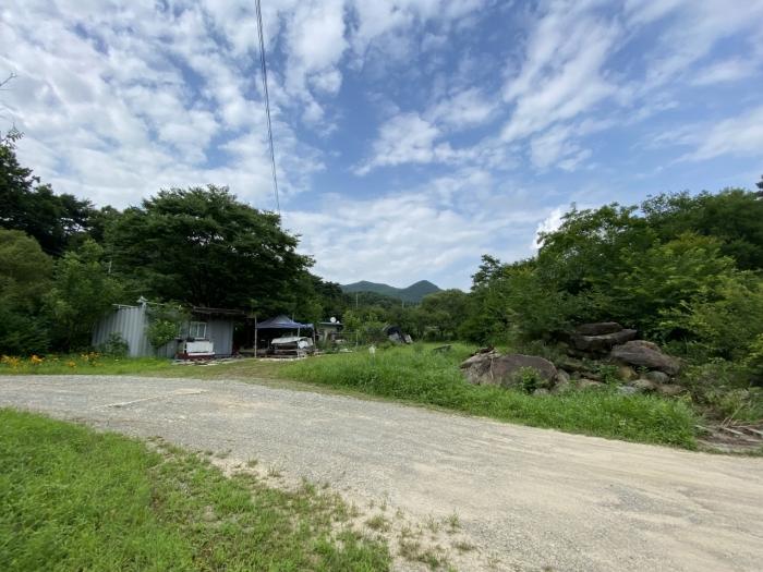 경상북도 성주군 월항면 지방리 319-1 전 경매 사진 8