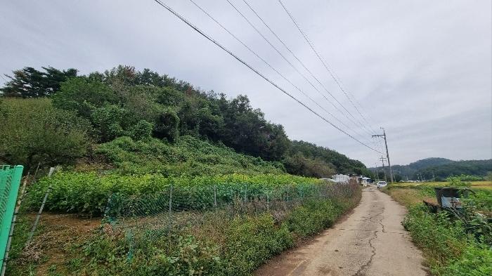 경상남도 함안군 대산면 부목리 592-2 답 경매 사진 1