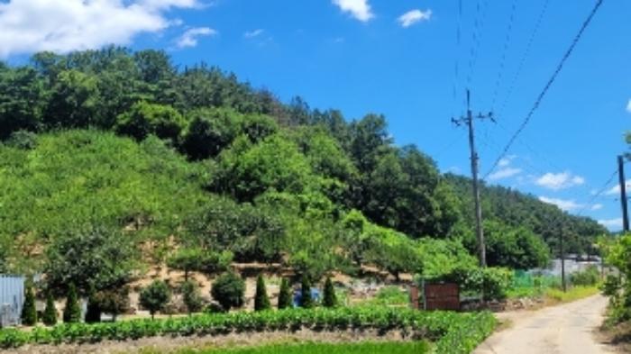 경상남도 함안군 대산면 부목리 592-2 답 경매 사진 4