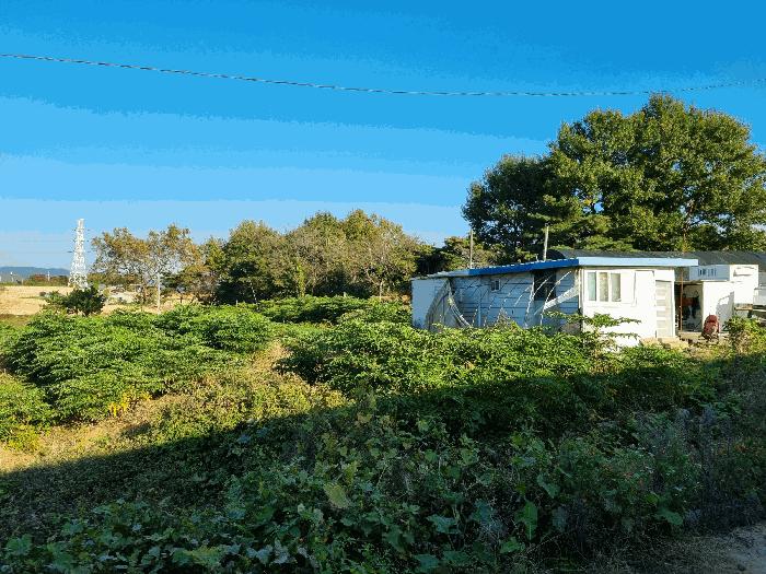 전북특별자치도 익산시 월성동 90-1 전 경매 사진 13