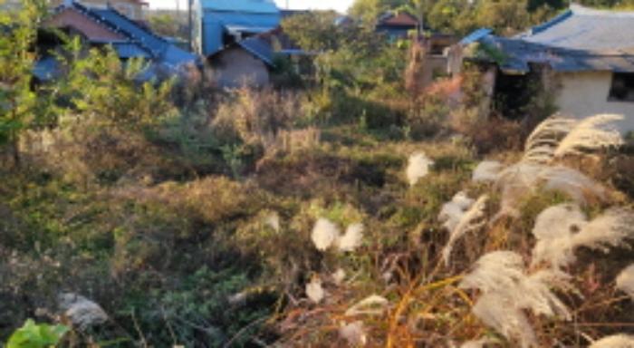 전북특별자치도 익산시 월성동 산39 임야 경매 사진 17