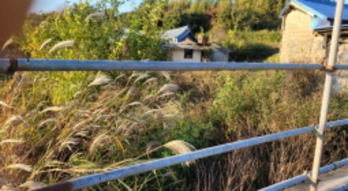 전북특별자치도 익산시 월성동 산39 임야 경매 사진 18
