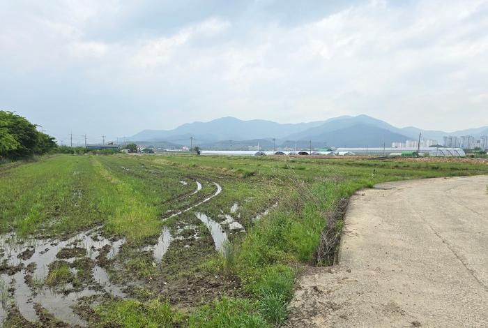 경상남도 사천시 용현면 사천대로 969-5 주택 경매 사진 2