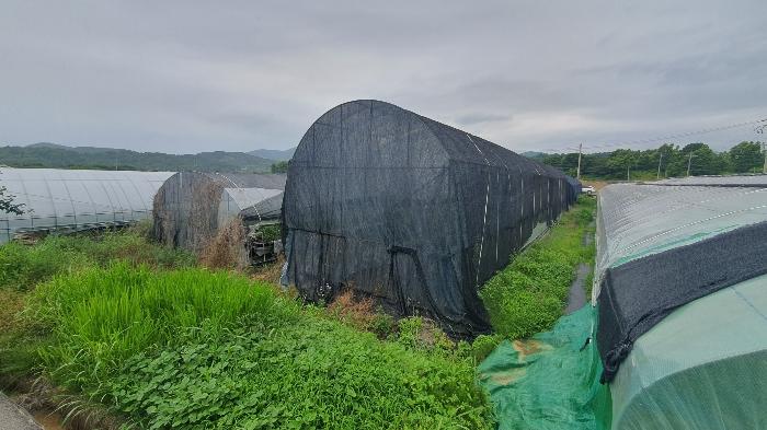 경상남도 하동군 옥종면 법대리 301-2 답 경매 사진 14