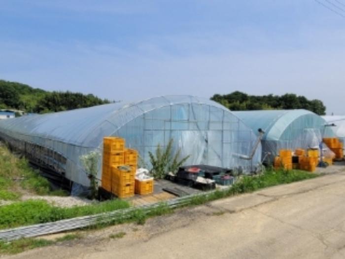 경상남도 하동군 옥종면 법대리 301-2 답 경매 사진 28