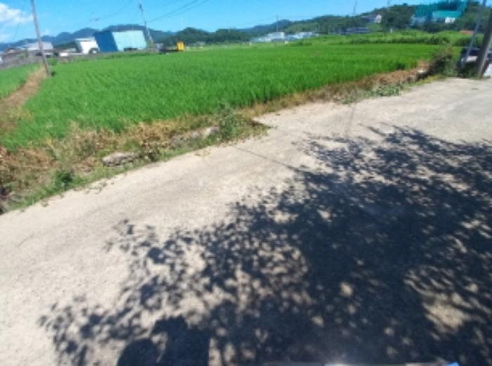 경상남도 사천시 향촌동 504-2 답 경매 사진 16