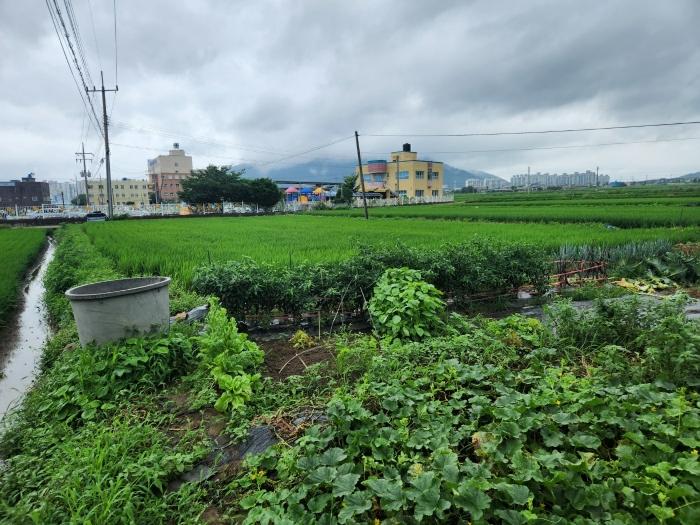 경상남도 사천시 향촌동 504-2 답 경매 사진 3