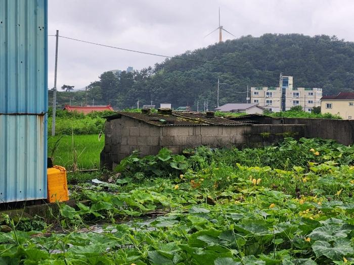 경상남도 사천시 향촌동 504-2 답 경매 사진 7
