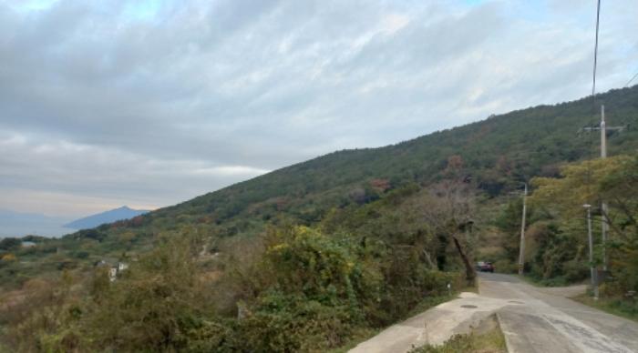 경상남도 통영시 욕지면 서산리 산1-45 임야 경매 사진 17