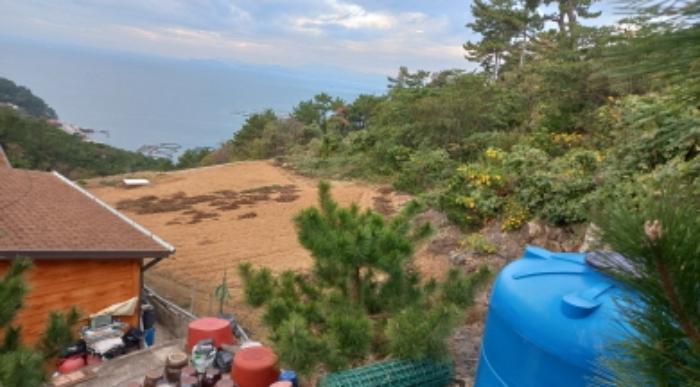 경상남도 통영시 욕지면 서산리 산1-45 임야 경매 사진 9