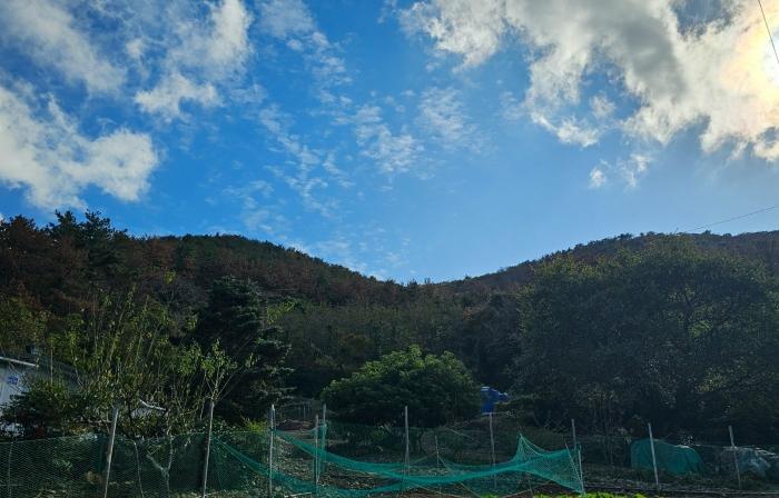 경상남도 통영시 욕지면 서산리 산7-24 임야 경매 사진 3
