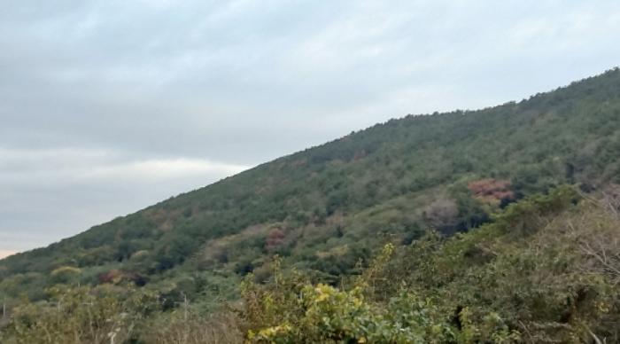 경상남도 통영시 욕지면 서산리 443-3 전 경매 사진 18