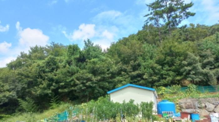 경상남도 거제시 고현동 680-2 주택 경매 사진 48
