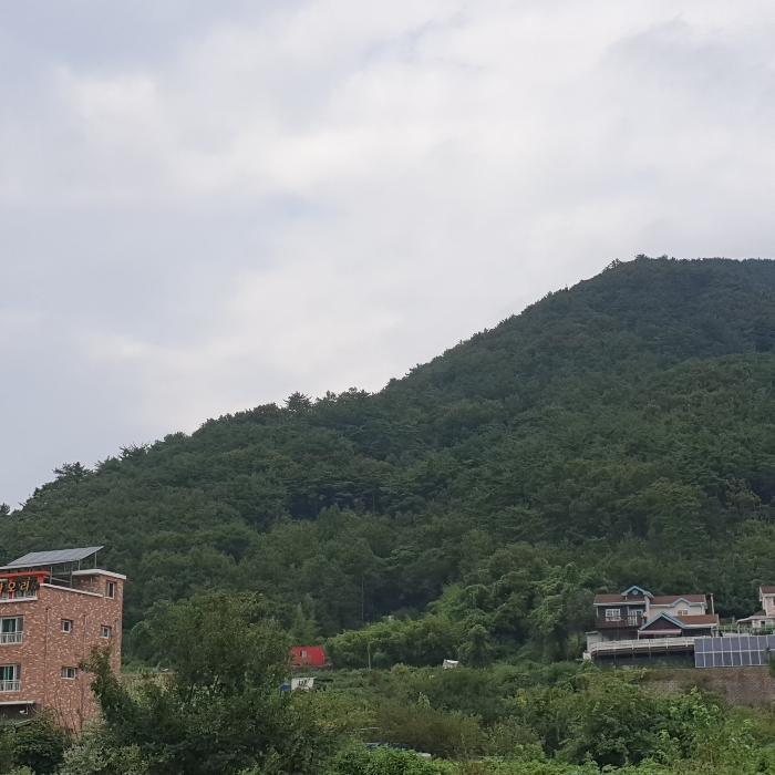 경상남도 거제시 고현동 281-5 다가구주택 경매 사진 23