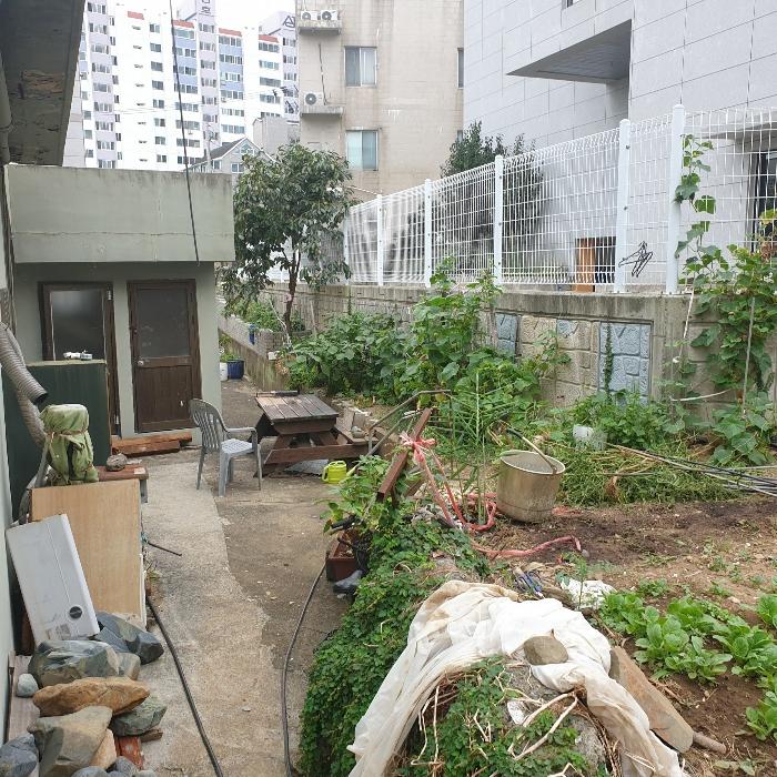 경상남도 거제시 연초면 오비리 산115-2 임야 경매 사진 13
