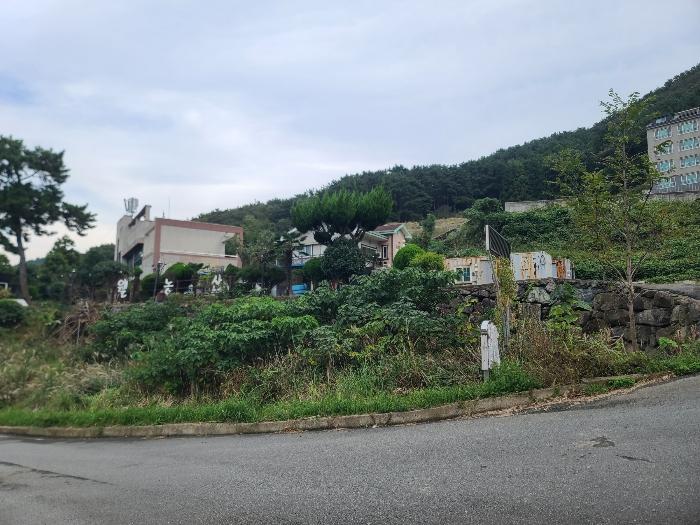 경상남도 거제시 거제면 법동리 산157-6 임야 경매 사진 1